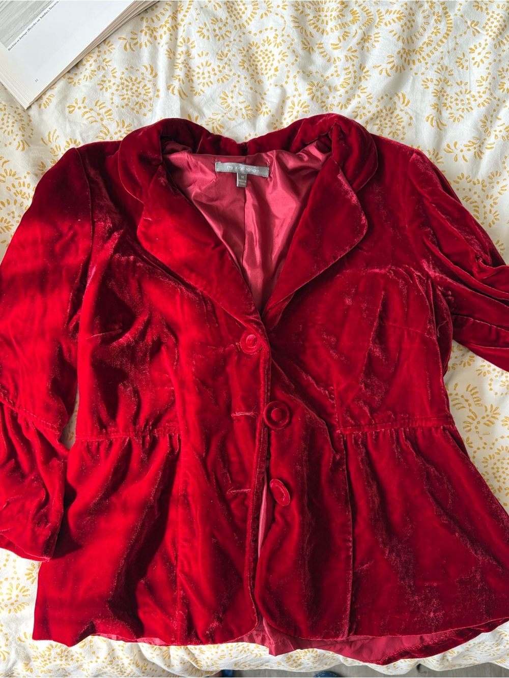 Velour Peplum Button-Front Jacket in Red